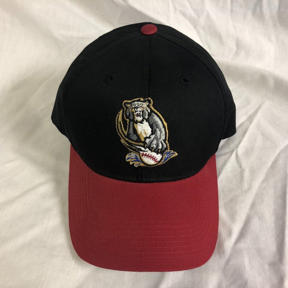 Sacramento River Cats Baseball Hat NWOT